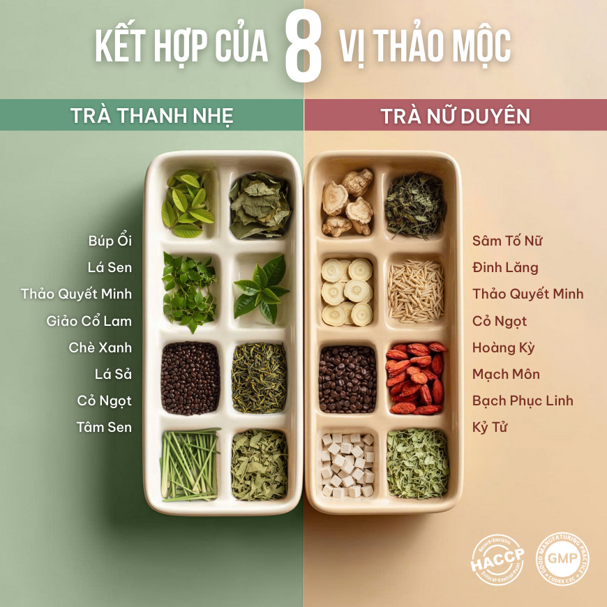Combo 2 Trà Túi Lọc Sâm Tố Nữ + Búp Ổi VIEGREEN 30x5g + 50x3g, GMP HACCP