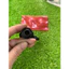 Chụp bugi cho xe Atila hàng đẹp