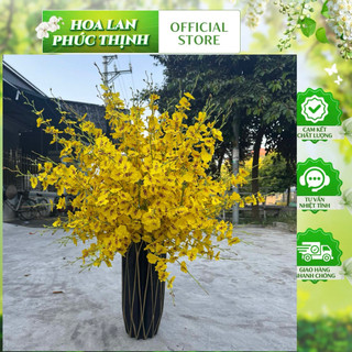 tặng Bình- Combo 10,15 Cành hoa vũ nữ Nhân tạo -hoa vải lụa-hoa lan phúc Thịnh-bình hoa trang trí- derco cao cấp
