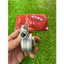 Cóc đồng hồ cho xe Atila hàng đẹp