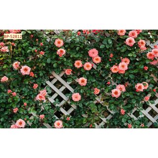 Tranh dán tường 3D Giả Gạch Giả Gỗ Hoa Dây Leo trang trí quán ăn, quán nước, trà sữa