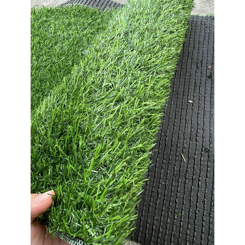 Combo 10m² (2 x 5m)  Thảm cỏ nhân tạo 2cm đế dẻo không bụi đen trải sàn, sân vườn, dán tường