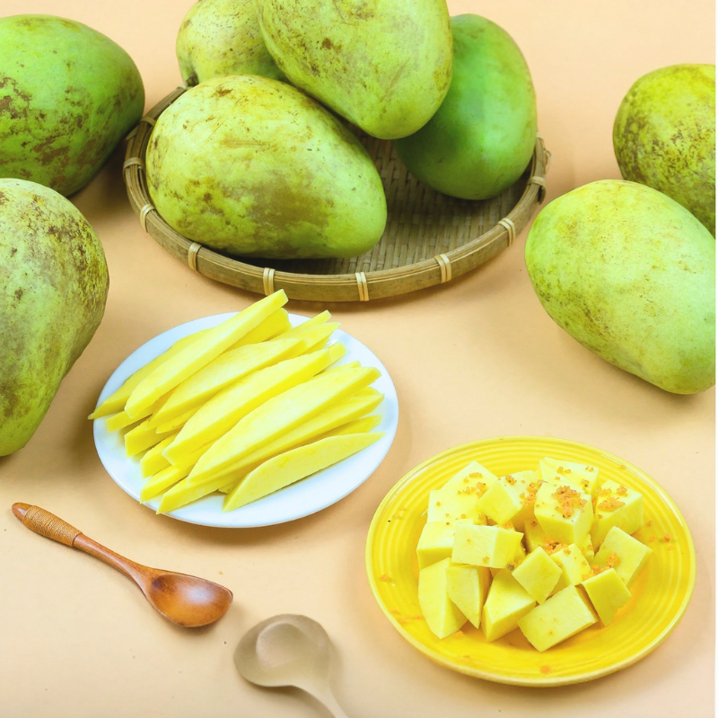 Cây Giống Xoài Tứ Quý – Cho Trái Quanh Năm, Thơm Ngọt, Dễ Trồng, Năng Suất Cao