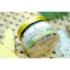 Viên Ngậm Gừng Thủ Công Thảo Thơm, Hũ 95G ~ 130 Viên, Nguyên Chất An Toàn - Dễ Sử Dụng