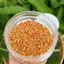 Muối Tỏi Ớt Chay Siêu Cay Rang Tay Truyền Thống - Đặc Sản Tây Ninh