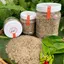 Muối Tiêu Ớt Lá Chanh - Đặc Sản Tây Ninh