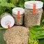 Muối Tiêu Ớt Lá Chanh - Đặc Sản Tây Ninh