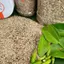Muối Tiêu Ớt Lá Chanh - Đặc Sản Tây Ninh