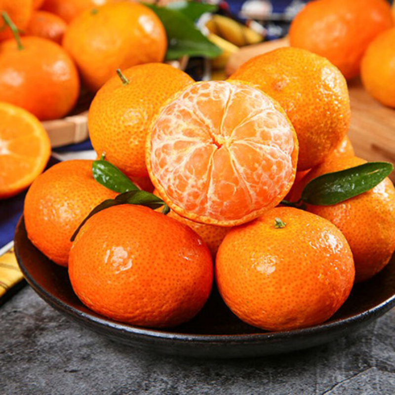 Cây Quýt Thái – Giống Ngoại Cao Sản, Trái Ngọt Thanh, Ra Quả Sớm & Sai Trái