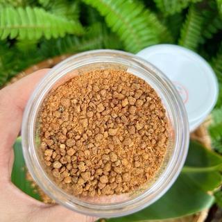 (P1) Muối Chay Sặc Hạt Siêu Cay - Đặc Sản Tây Ninh