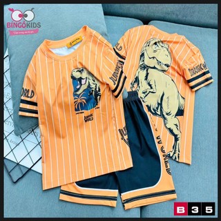 Set đồ bộ mặc nhà đùi bé trai thun lạnh in 3D in họa tiết hoạt hình đẹp