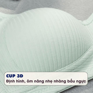 Combo Áo Ngực Nữ Không Gọng Ôm Ngực Tự Nhiên, Set Áo Lót Cotton Đệm Mỏng Thoáng Khí AMYBRA A414