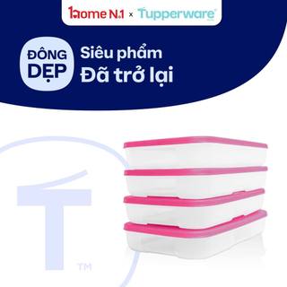Bộ 4 hộp đựng thực phẩm Tupperware Trữ Đông Gen I Medium 650ml