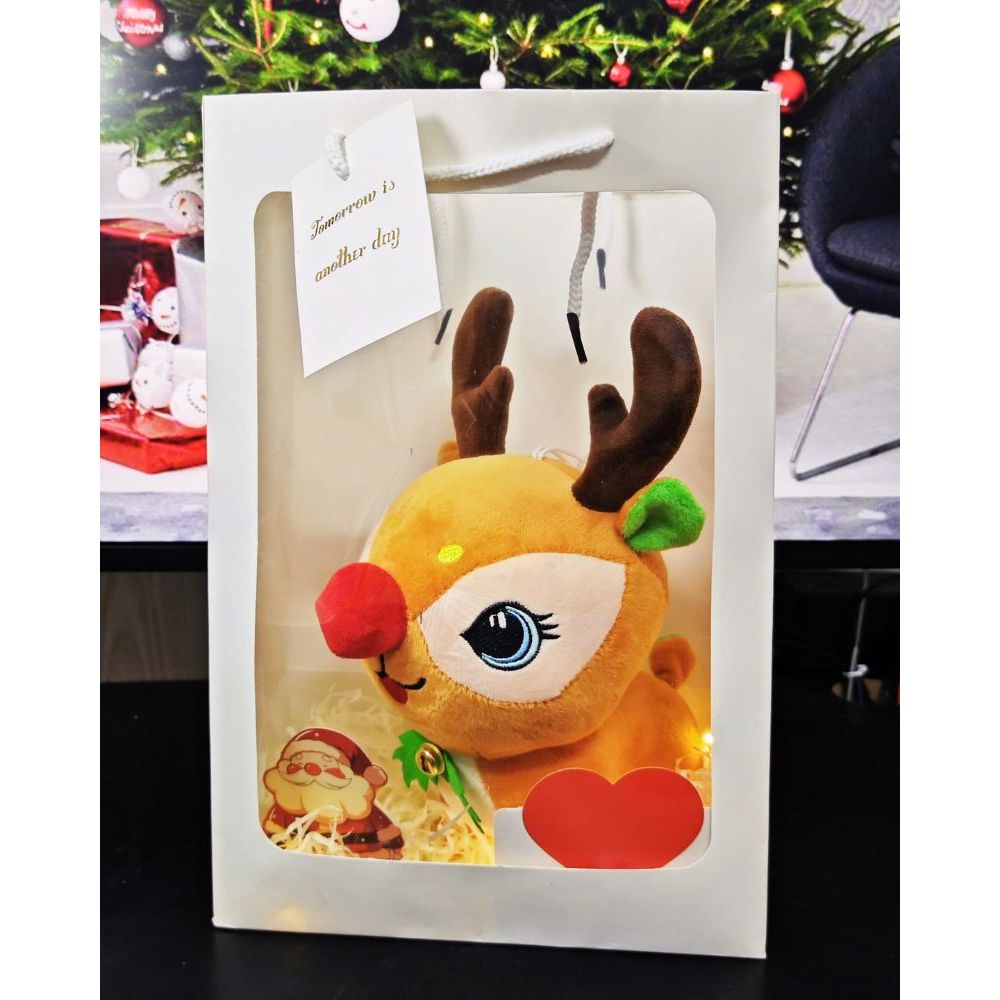 Set Quà Tặng Gấu Bông Giáng Sinh Noel Túi Mica Kèm Bó Hoa,Đèn Led,Thiệp Quà Tặng Cho Bé,Bạn Gái, Người Thân Ngày Noel