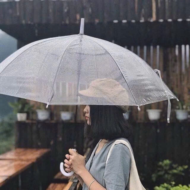 ô trong suốt cầm tay, DÙ CHE NẮNG CHE MƯA , CHỤP ẢNH SIÊU ĐẸP