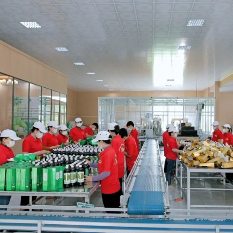 Nước cốt quả Nhàu Phong Thảo 1 LÍT