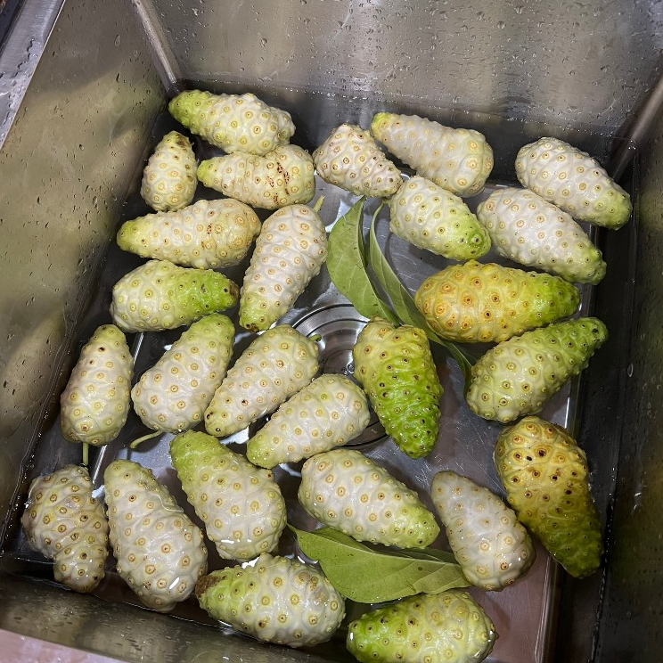 Trái Nhàu khô phơi tự nhiên - đun nước, hãm trà, ngâm tửu - túi 5KG