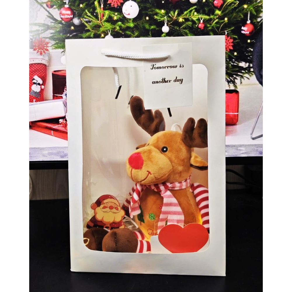 Set Quà Tặng Gấu Bông Giáng Sinh Noel Túi Mica Kèm Bó Hoa,Đèn Led,Thiệp Quà Tặng Cho Bé,Bạn Gái, Người Thân Ngày Noel