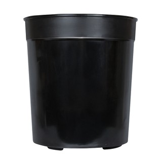 Nhà Thương Cây - CHẬU TRỒNG CÂY OH ĐEN - 33*36 cm