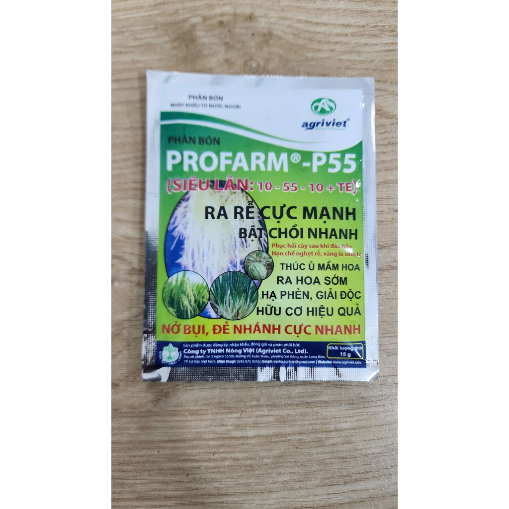Siêu Lân Nhập Khẩu BỈ P55