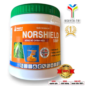 Norshield 58WP hũ 400gr (Đồng đỏ chính hiệu) - Bám dính tốt, không nóng bông/trái, Đặc trị Nấm bệnh