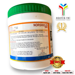 Norshield 58WP hũ 400gr (Đồng đỏ chính hiệu) - Bám dính tốt, không nóng bông/trái, Đặc trị Nấm bệnh
