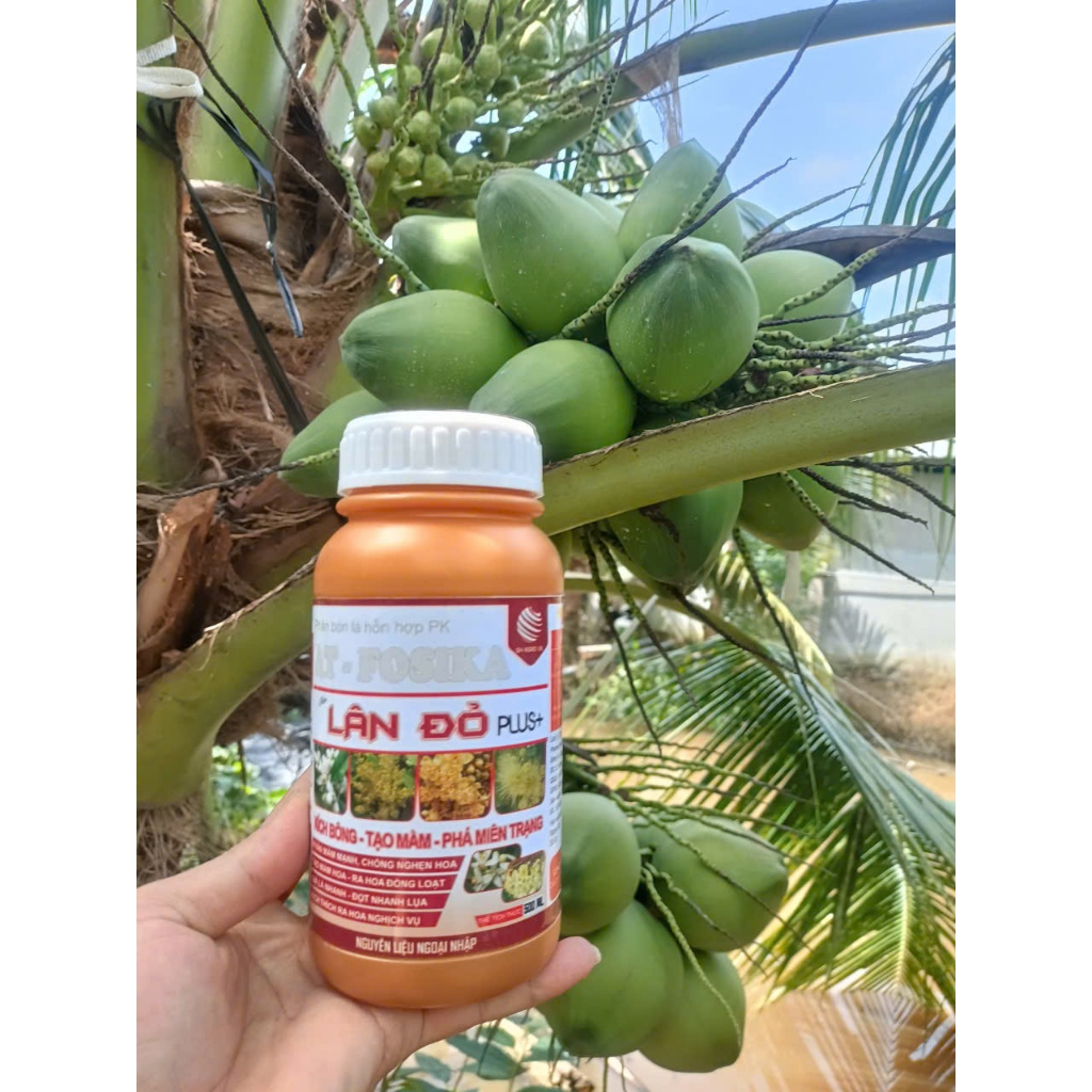 [ TỐT NHẤT ] Lân Đỏ Plus+ AT Fosika - Ra Hoa Chanh, Tắc, Kích Thích Ra Hoa Đồng Loạt