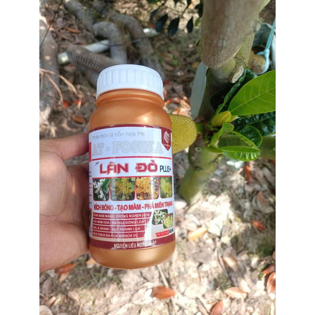 [ TỐT NHẤT ] Lân Đỏ Plus+ AT Fosika - Ra Hoa Chanh, Tắc, Kích Thích Ra Hoa Đồng Loạt