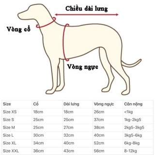 Áo nỉ bông gấu ba lỗ thu đông cho thú cưng , quần áo chó mèo nhiều màu sắc