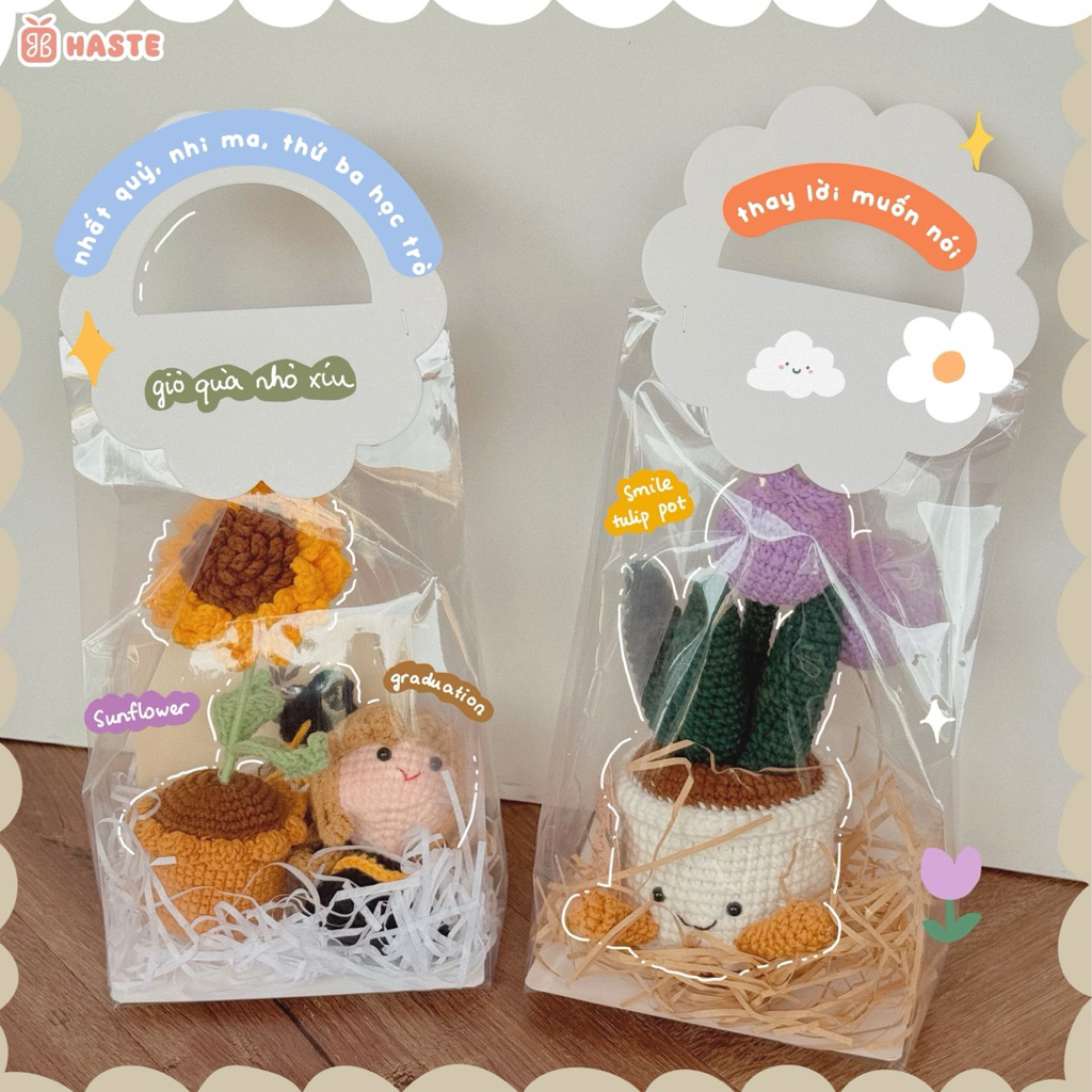 Set Túi Quà Tặng Thầy Cô Tốt Nghiệp Sinh Nhật Handmade Chậu Hoa Len Bạn Nữ Phong cách dễ thương