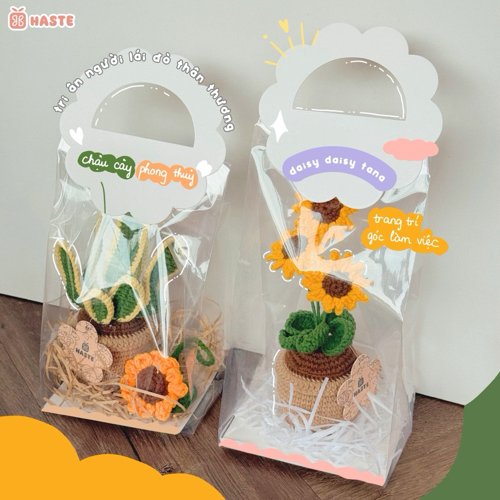 Set Túi Quà Tặng Thầy Cô Tốt Nghiệp Sinh Nhật Handmade Chậu Hoa Len Bạn Nữ Phong cách dễ thương