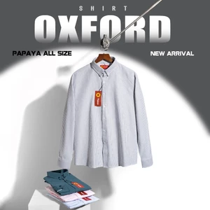 Áo sơ mi nam dài tay oxford kẻ sọc nhỏ tôn dáng che khuyết điểm vùng. SMOX1