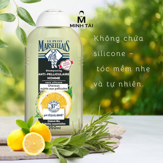 Dầu Gội Giảm Gàu Nam Le Petit Marseillais Hữu Cơ & Tinh Dầu Thiên Nhiên
