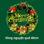 Cây Thông Trang Trí Noel,Trang Trí Giáng Sinh Nhà Hàng,Văn Phòng,...