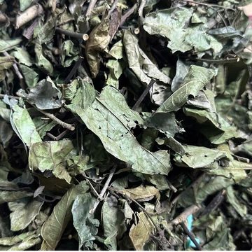 1KG Lá Xạ Đen Khô Hàng Loại 1 Ít Cành