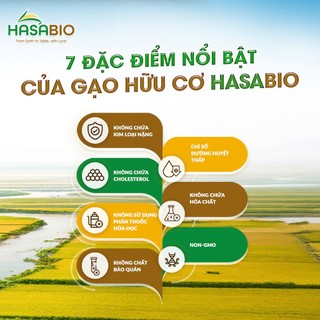[MUA 2 GIẢM 5%] Bún, Phở ăn liền Gạo trắng - Gạo lứt HỮU CƠ HASABIO