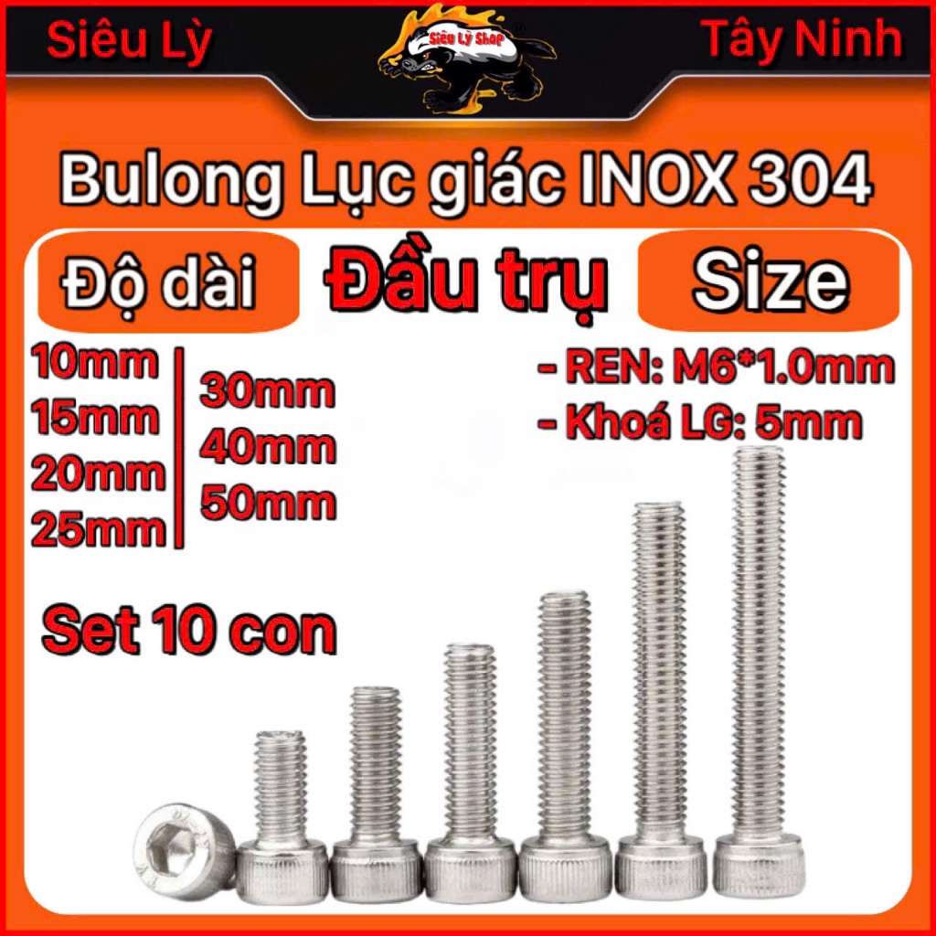 Set 10 con Bulong Lục giác INOX 304 - Đầu trụ - REN M6*1.0mm (đk ren ...