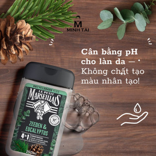 Gel Tắm Pháp dành cho Nam Le Petit Marseillais 4in1 Chiết Xuất Thông Biển & Bạch Đàn