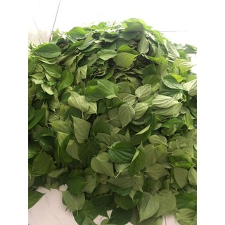 Bột Trầu Không Nguyên Chất Xay Mịn - Túi Zip 500g