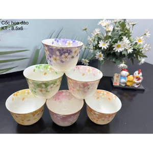 Gốm Nhật 2hand/Gốm Nhật kiểu dáng/ Set chén trà Nhật màu sắc nhã nhặn