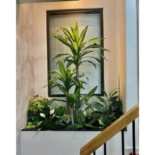 Bộ 3 cây Thiết Mộc Lan giả cao 1,8m - Cây decor giống thật