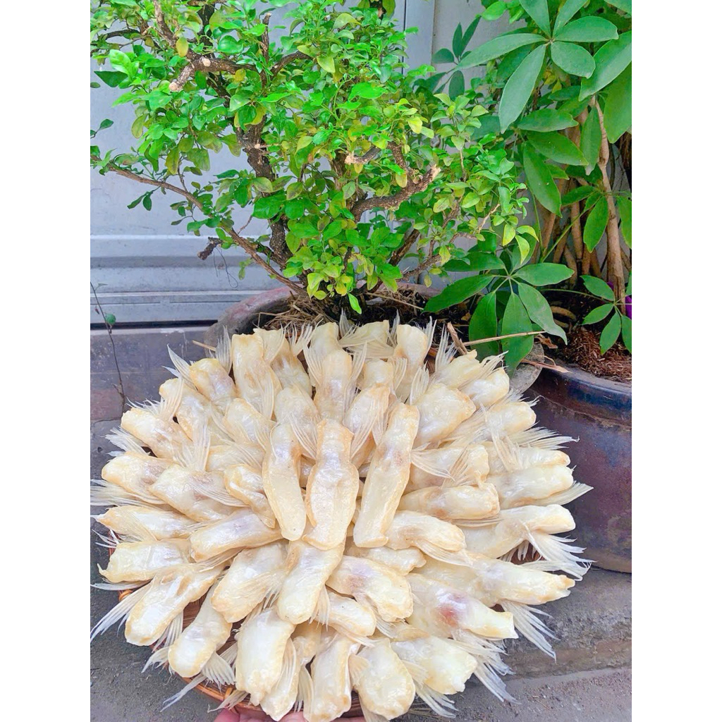 Khuyến mãi 1kg ức mỡ cá dứa ( cá basa) vị mặn vừa ăn —Trắng —