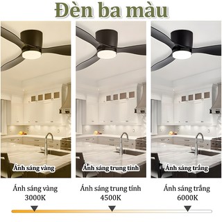 Quạt trần cho chung cư trần thấp 3 cánh siêu mát decor phòng khách-ngủ sải cánh 132cm có đảo chiều