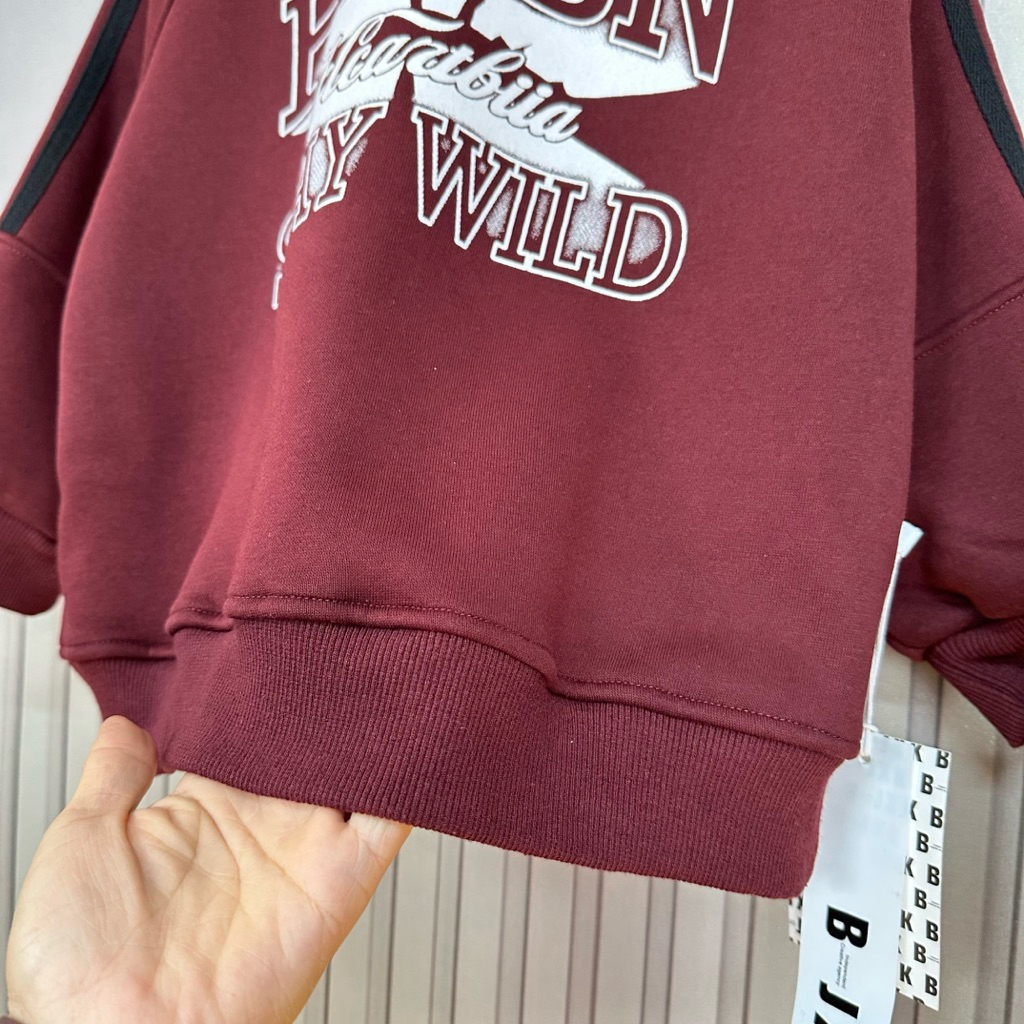 Áo nỉ sweater áo nỉ lót lông chuẩn hàng QCCC áo nỉ cổ bò siêu ngầu siêu chất cho bé size từ 20-45kg