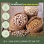 Đậu gà size 9 Canada - Hạt to, mẩy - TH Nutrifood
