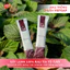 Bột Tía Tô Sấy Lạnh Nguyên Chất Quảng Thanh Hộp 45g (15 gói x 3g) - Giảm mụn, mờ thâm nám