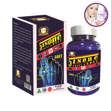 Viên uống hỗ trợ giảm sưng đau Gout, thoát vị đĩa đệm, trung hòa Acid Uric - JOINT & GOUT 5in1 - Healthy Golden Úc