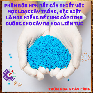 Phân NPK 20-20-15 dùng hoa và cây cảnh mọi giai đoạn đều được✳️ Yêu Nhà Yêu Hoa