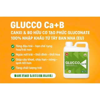 GLUCCO Ca+B – Phân Bón Canxi Bo Gluconate | Tăng Đậu Trái – Ngừa Nứt Trái – Ngừa Thối Đầu Hoa can 5l