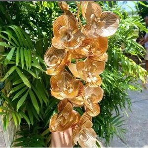 CANH LAN ĐỒNG deco , trang trí Tết nào các nàng oi